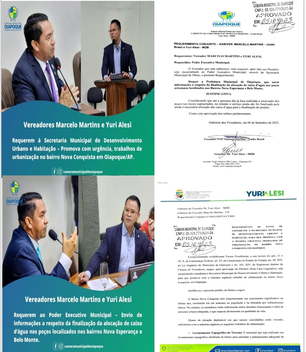 REQUERIMENTOS AO PODER EXECUTIVO. 