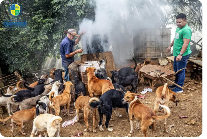 VEREADOR JUNIOR DO MATEUS VISITA ABRIGO DE ANIMAIS E PROPÕE PROJETO DE LEI